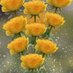 🌼🎉🌼 (@sunflower1995m) Twitter profile photo 🌼🎉🌼 (@sunflower1995m) Twitter profile photo