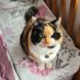 Fluffy Willow 🌈 (@fluffy_willow) Twitter profile photo Fluffy Willow 🌈 (@fluffy_willow) Twitter profile photo
