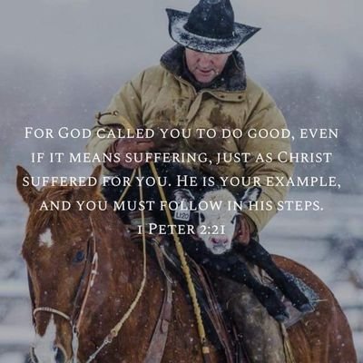 PWardJoeSux's profile picture. Father to 2 great kids, husband to a hot red headed wife, Christian trying to get to Heaven, Patriot willing to go down swinging