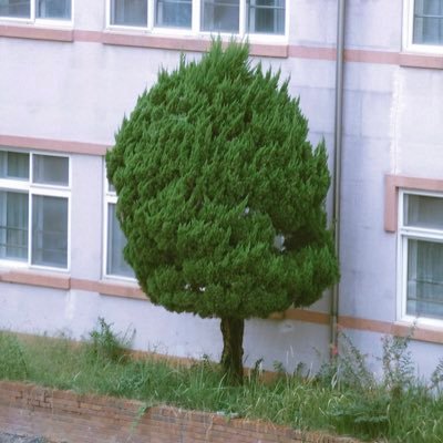 seelookat's profile picture. 