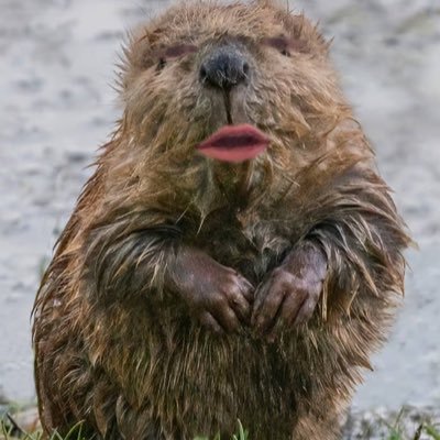 CreightonCadwe1's profile picture. 