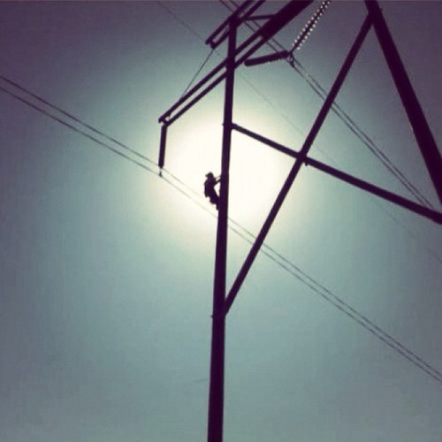 adanny101's profile picture. Barehand Lineman