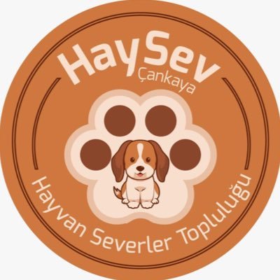 haysevtopluluk's profile picture. Çankaya Üniversitesi HaySev Topluluğu 🐾 instagram:haysevcankaya 
facebook: haysev cankaya
haysevcankaya@gmail.com
https://t.co/VfPYix6o9h