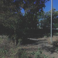 Irene03 (@anyadearest) 's Twitter Profile