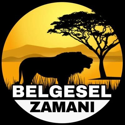 BelgeselZamani Profile Picture