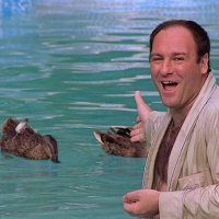 Duckdude (@duckdude1973) 's Twitter Profile