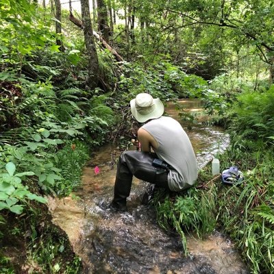 Microbial Ecologist. Aquatic fungi and intermittent stream microbiomes