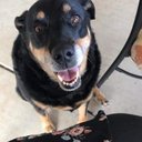 Sean Killen - @SeanKillen13 - Twitter