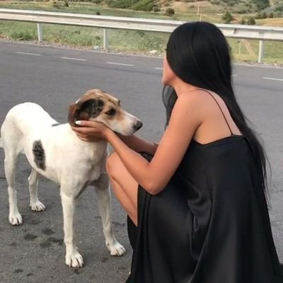 Veterinary...
Animal Rights Activist...
Animal lover...
یک دامپزشک متعهد،
عاشق حیوانات و طبیعت،
دور از وطن..