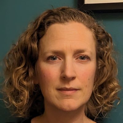 Reader in International Relations at Cardiff University