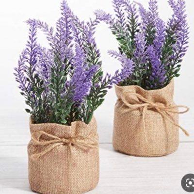 ka_1_77's profile picture. كن كــالورود بوجودك يحل السرور و بغيابك تشتاق لك القلوب و بكلامك تطيب النفوس و تقتنع العقول أتمنى لكم عام سعيد 🫶🥀