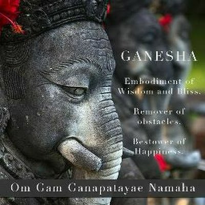 MehulPa88197334's profile picture. 