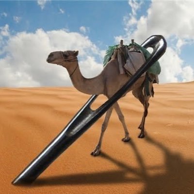 QuantumCamel's profile picture. Trading Company. AI, Blockchain. Nothing I tweet is financial advice, views my own. Sol：DLqtEP2GyCR66eTM1ibFcvNMK2m98fbPFyHsWyYgoxF3