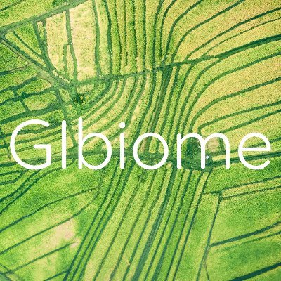 Transform your health from the inside out with GIbiome!