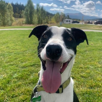 gbenecke3's profile picture. how’s everybody doing?  good, good