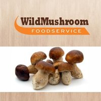 Wild Mushroom Ltd(@WildMushroomLtd) 's Twitter Profile Photo