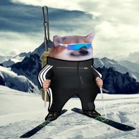 Alpine-Fella(@scma142) 's Twitter Profile Photo