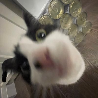 MS_BlackHawk's profile picture. 𖤐 🖤 💙 🦋 💙 🖤 𖤐