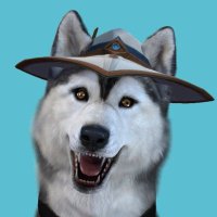 Acre(@acrethedog) 's Twitter Profile Photo