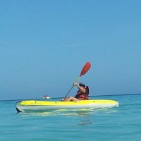 CristinaCon2🌻🌻🌻 (@criscon2) 's Twitter Profile