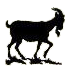 Craiceann (@bodhranschool) Twitter profile photo Craiceann (@bodhranschool) Twitter profile photo