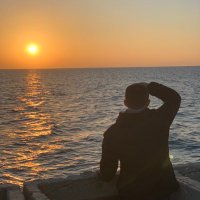 سفيان النجار 🦅❤️ (@m1_ylm) 's Twitter Profile
