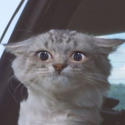 Moi_InsideBin's profile picture. 