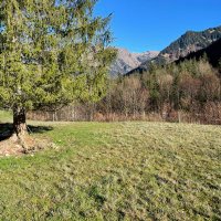 Wir sind mehr (@sabineroethlein) 's Twitter Profile Photo