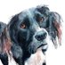 🇳🇱Wim Visscher (@infowimvisscher) Twitter profile photo 🇳🇱Wim Visscher (@infowimvisscher) Twitter profile photo
