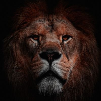 Krishno03's profile picture. always cool