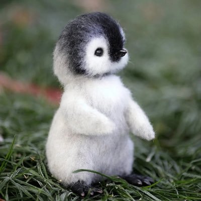 bencon9999's profile picture. 不要炒股 不要炒币 好好做人 认真做事 善哉善哉