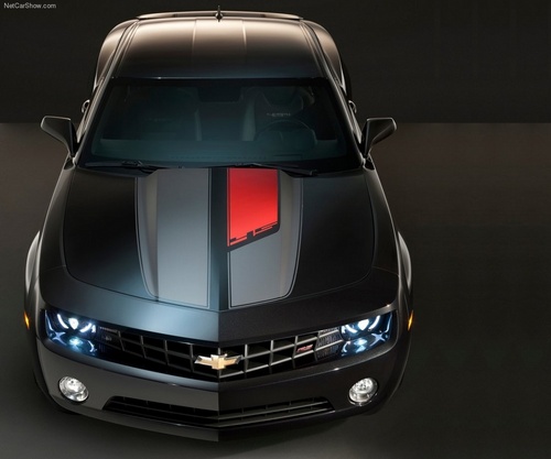 TraciMutz's profile picture. 