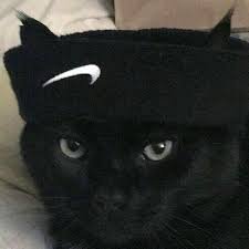 Musashii_wr's profile picture. só um carinha do TI
