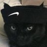 Musashii_wr's profile picture. só um carinha do TI