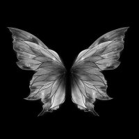 ‏دلال الجهني. (@9vdll_) Twitter profile photo
