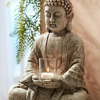 buhddaprhases's profile picture. Buhdda Phrases 🥠. Español/English. He/Him