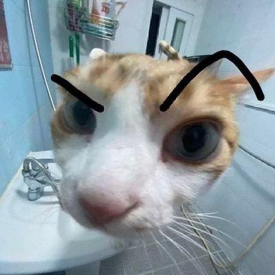 🫵 SUS 🫵 • DM submissionsさんのプロフィール画像