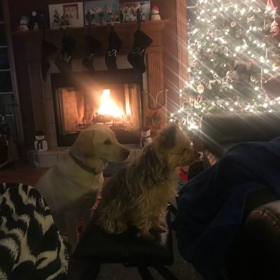 qcstripes29's profile picture. 