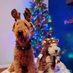 Trevor, Westley, and 🌈Bueller the Lakeland🌈 (@buellerl) Twitter profile photo Trevor, Westley, and 🌈Bueller the Lakeland🌈 (@buellerl) Twitter profile photo