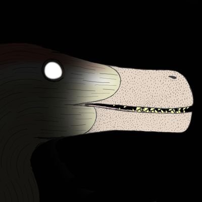 IronJKさんのプロフィール画像