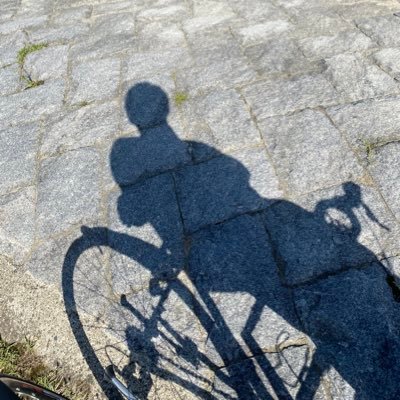 zakim_sy's profile picture. 