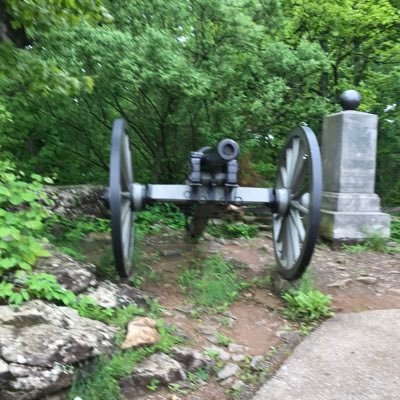 CrazyLady1953's profile picture. Ordinary American. God, Family, Country in that order. Not interested in crypto of any kind. I will block anyone claiming to be Elon Musk. No DMs please.  🇺🇸