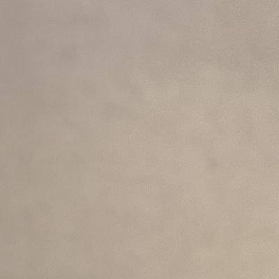 noabeta's profile picture. 