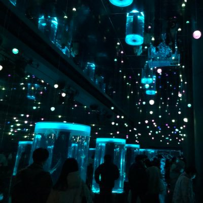 YnTさんのプロフィール画像