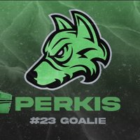 I Perkis I (@i_perkis) 's Twitter Profile