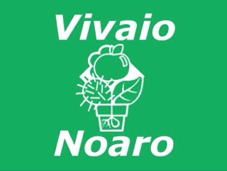 vivaionoaro's profile picture. Vendita online. Oltre 2000 specie da tutto il Mondo.