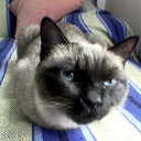 joaquin ortiz - @pilow75 - Twitter