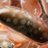 leogrower's profile image