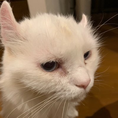 31歳 前職はSES企業でサーバの運用保守を担当。
運用歴4年。Java Goldを取得するもアプリ開発者になれない事に気付く→#HappinessChain で勉強中。
→2024 11/1よりアプリ開発者へ