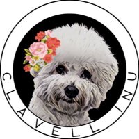 clavellinu (@clavellinu) 's Twitter Profile